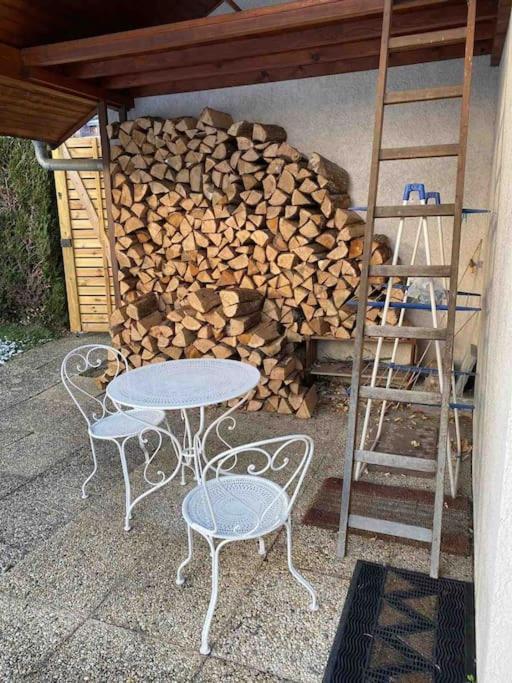 La Roseliere Sud, Vue Lac & Jardin Sévrier Zewnętrze zdjęcie