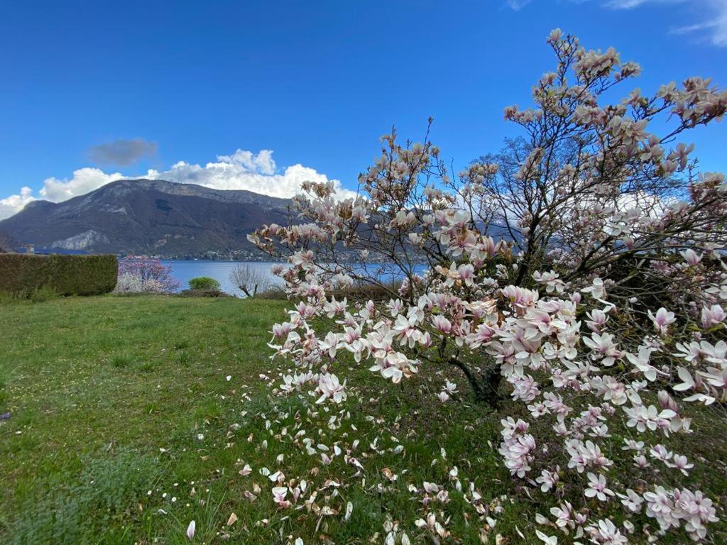 La Roseliere Sud, Vue Lac & Jardin Sévrier Zewnętrze zdjęcie